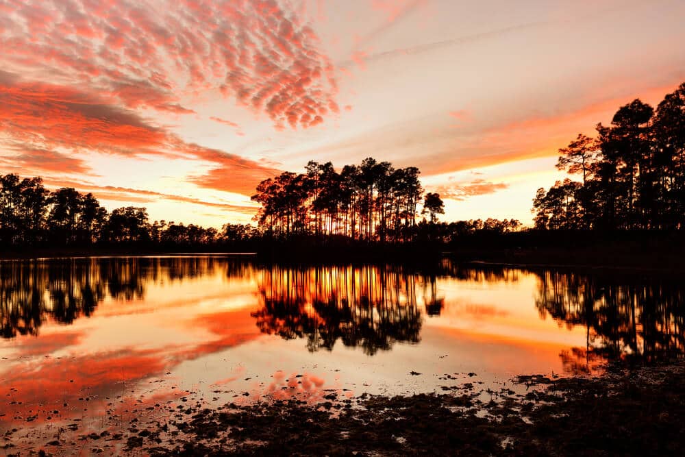 Florida Everglades at Sunset