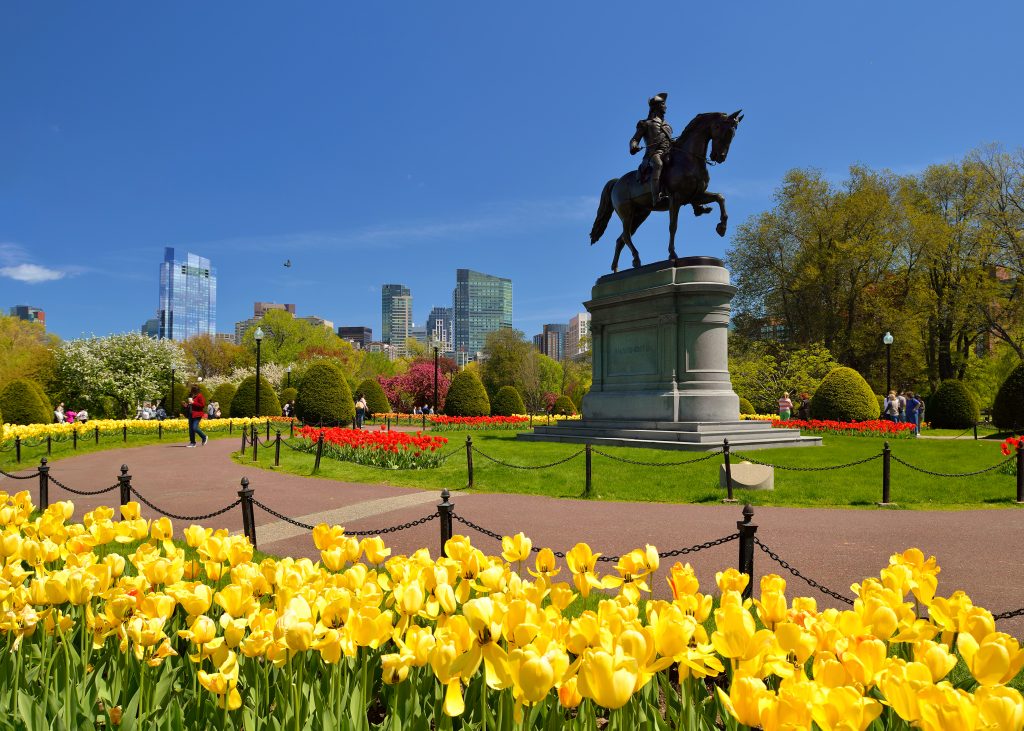 Party Things To Do in Boston Over Spring Break