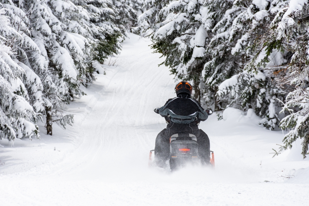 Snowmobile rider going through forest